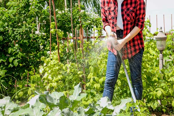 Die Funktion der Gartenwasserpistole